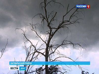 каждый каждый