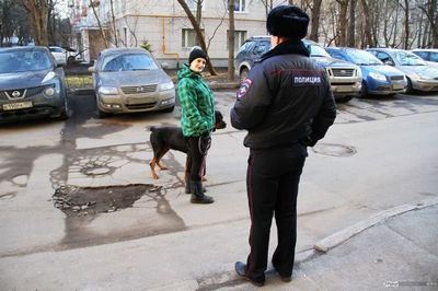 глава глава