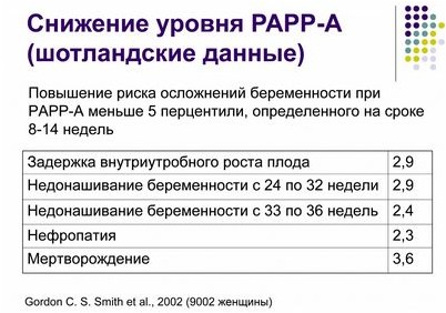 плацента плацента