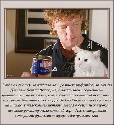 зубной зубной