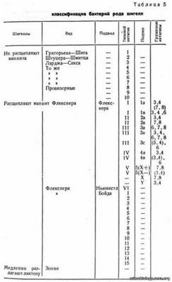 бактерия