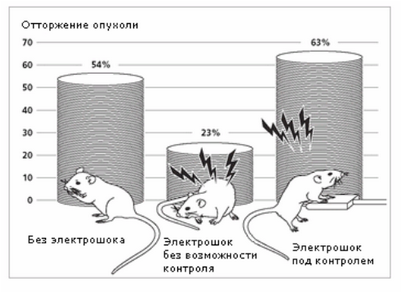 никакой никакой