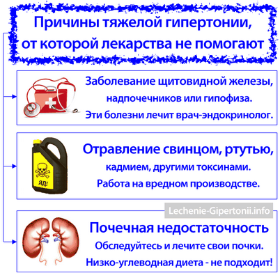 исследование исследование
