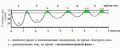 цикл цикл