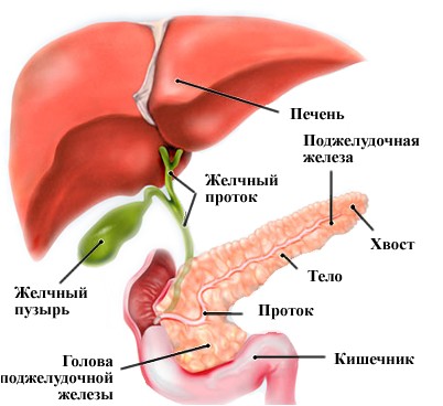 исследование исследование