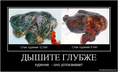 курение курение