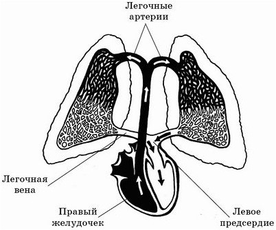 беспокойство