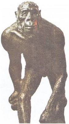 развитие развитие