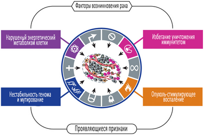воспаление воспаление
