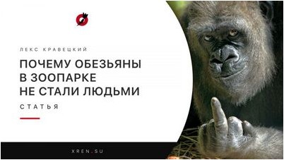 новый новый