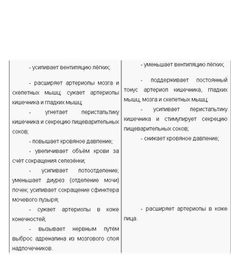 тракт тракт