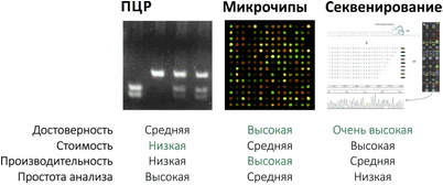 болезнь болезнь