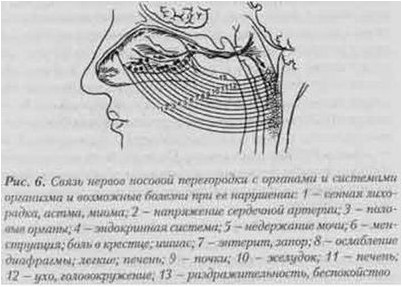 лечение лечение