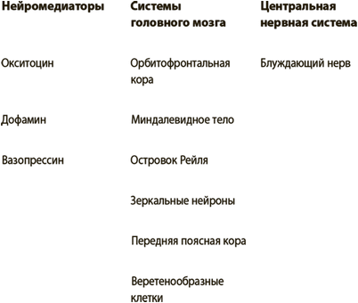 мозг мозг