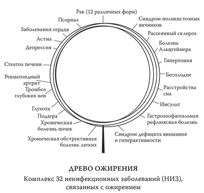 донор