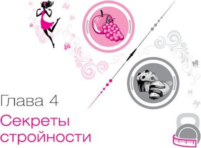 желудок желудок