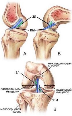 более более